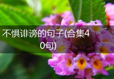 不惧诽谤的句子(合集40句)
