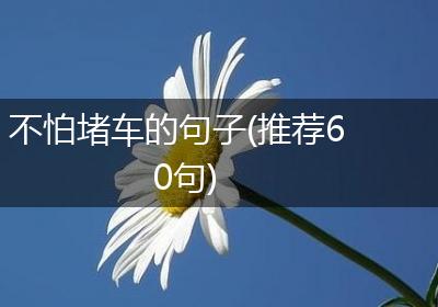 不怕堵车的句子(推荐60句)