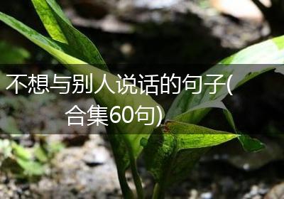 不想与别人说话的句子(合集60句)