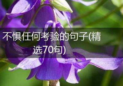 不惧任何考验的句子(精选70句)