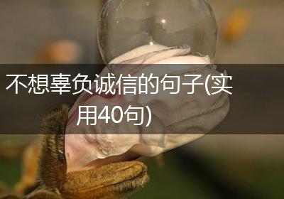 不想辜负诚信的句子(实用40句)