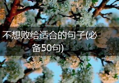 不想败给适合的句子(必备50句)