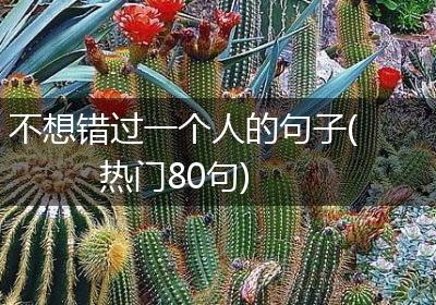 不想错过一个人的句子(热门80句)