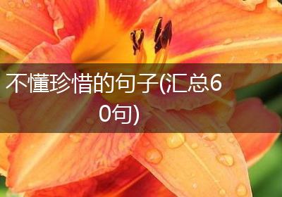 不懂珍惜的句子(汇总60句)