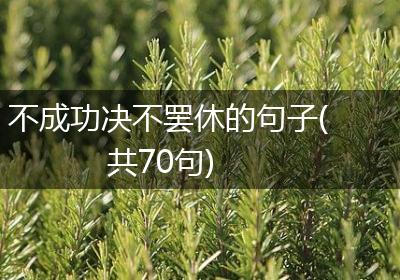 不成功决不罢休的句子(共70句)