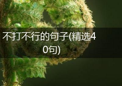 不打不行的句子(精选40句)