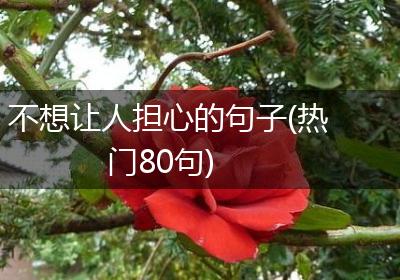 不想让人担心的句子(热门80句)