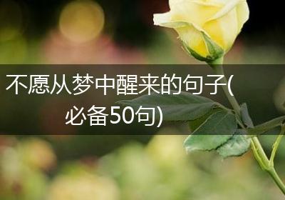 不愿从梦中醒来的句子(必备50句)