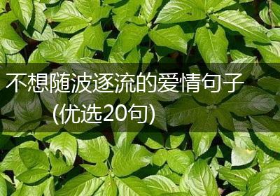 不想随波逐流的爱情句子(优选20句)