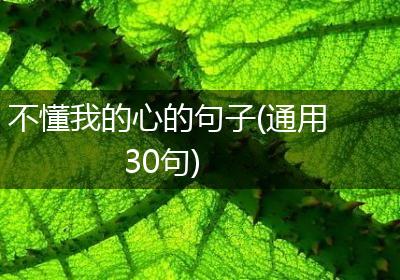 不懂我的心的句子(通用30句)