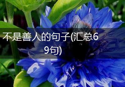 不是善人的句子(汇总69句)