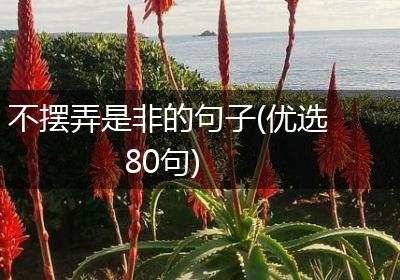 不摆弄是非的句子(优选80句)