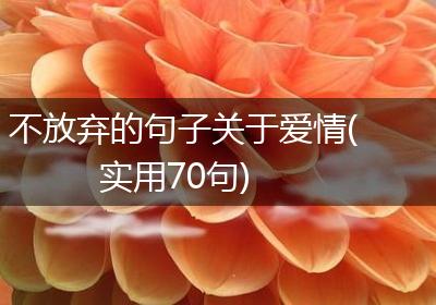 不放弃的句子关于爱情(实用70句)