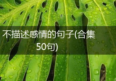 不描述感情的句子(合集50句)