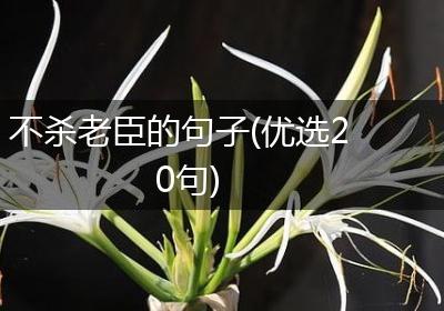 不杀老臣的句子(优选20句)