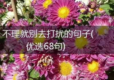 不理就别去打扰的句子(优选68句)