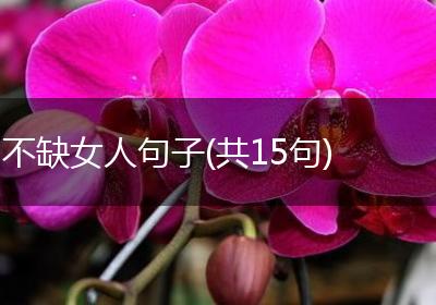不缺女人句子(共15句)