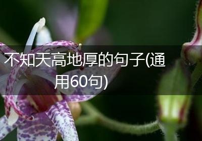 不知天高地厚的句子(通用60句)