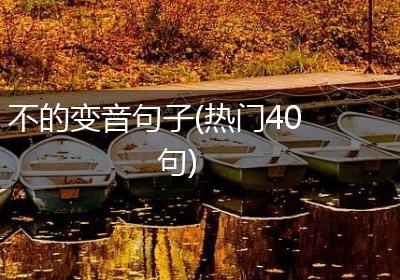 不的变音句子(热门40句)