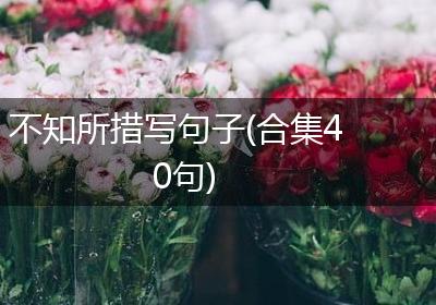 不知所措写句子(合集40句)