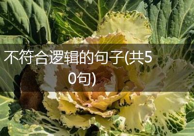 不符合逻辑的句子(共50句)