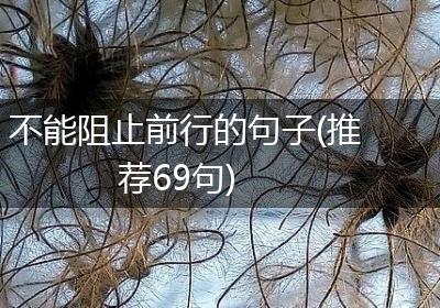 不能阻止前行的句子(推荐69句)