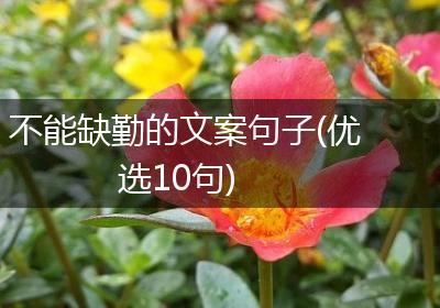 不能缺勤的文案句子(优选10句)