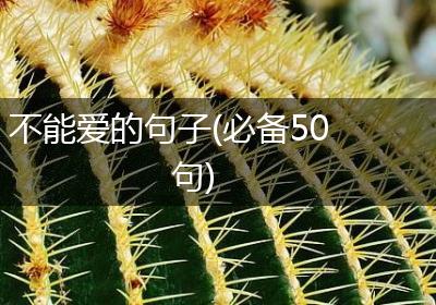 不能爱的句子(必备50句)