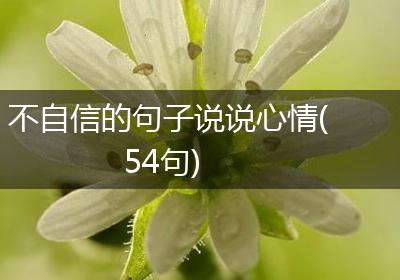 不自信的句子说说心情(54句)