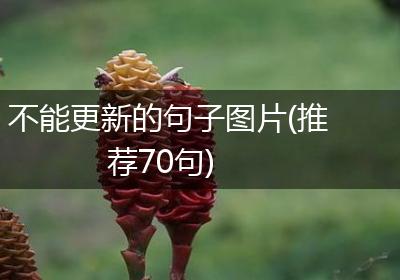 不能更新的句子图片(推荐70句)
