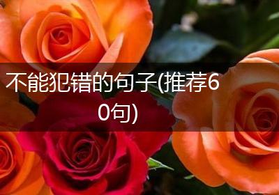 不能犯错的句子(推荐60句)