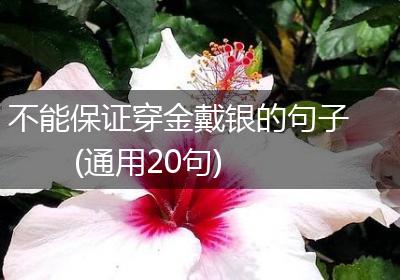 不能保证穿金戴银的句子(通用20句)