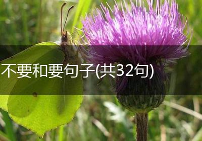 不要和要句子(共32句)