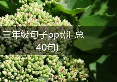 三年级句子ppt(汇总40句)