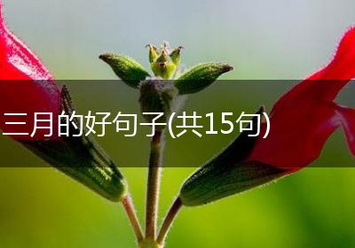 三月的好句子(共15句)