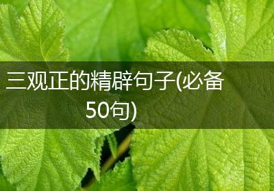 三观正的精辟句子(必备50句)
