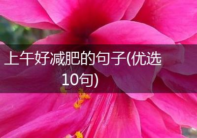 上午好减肥的句子(优选10句)