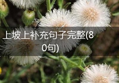 上坡上补充句子完整(80句)