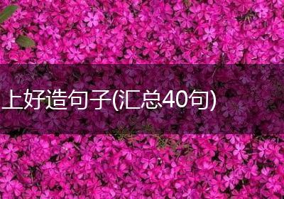 上好造句子(汇总40句)