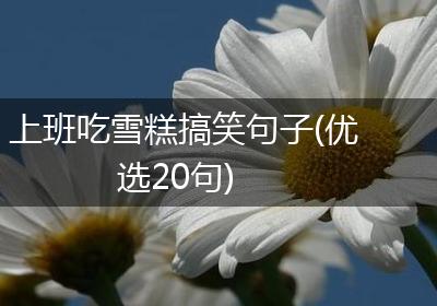 上班吃雪糕搞笑句子(优选20句)