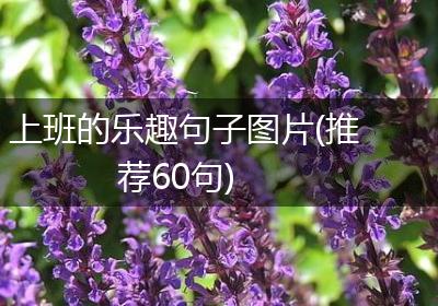 上班的乐趣句子图片(推荐60句)