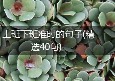 上班下班准时的句子(精选40句)