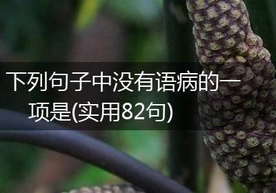 下列句子中没有语病的一项是(实用82句)