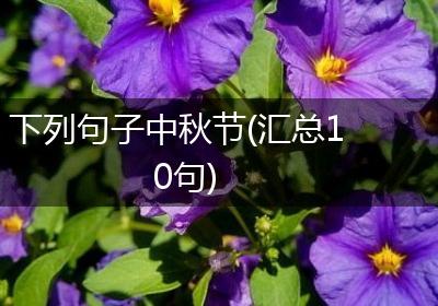 下列句子中秋节(汇总10句)