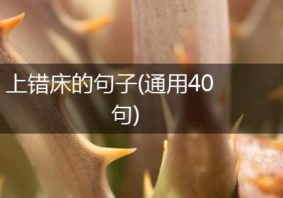 上错床的句子(通用40句)