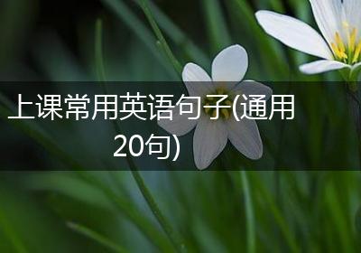 上课常用英语句子(通用20句)