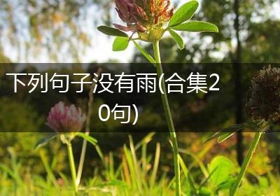 下列句子没有雨(合集20句)