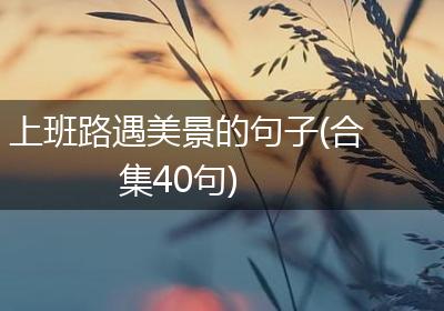 上班路遇美景的句子(合集40句)
