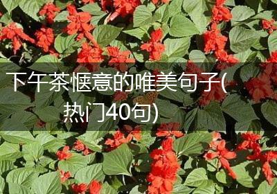 下午茶惬意的唯美句子(热门40句)