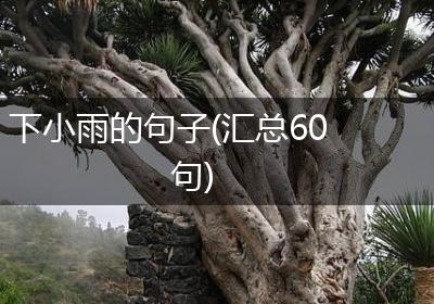 下小雨的句子(汇总60句)